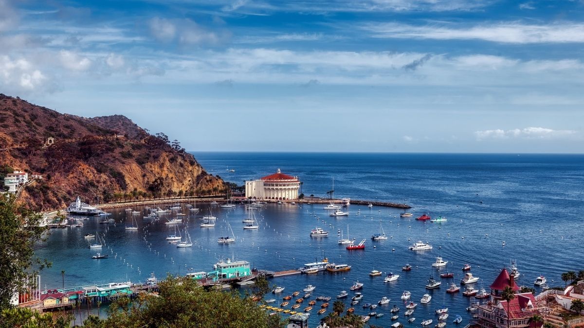 Why Catalina Island In California Best Romantic Honeymoon