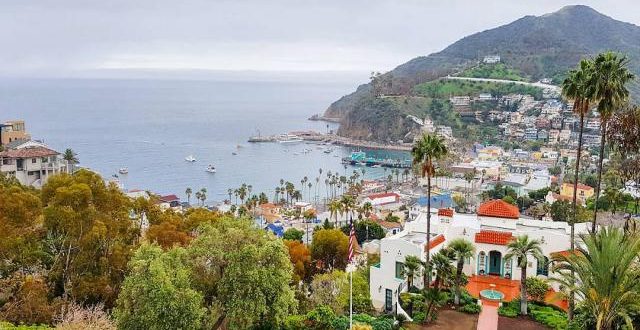 Why Catalina Island In California Best Romantic Honeymoon Destinations