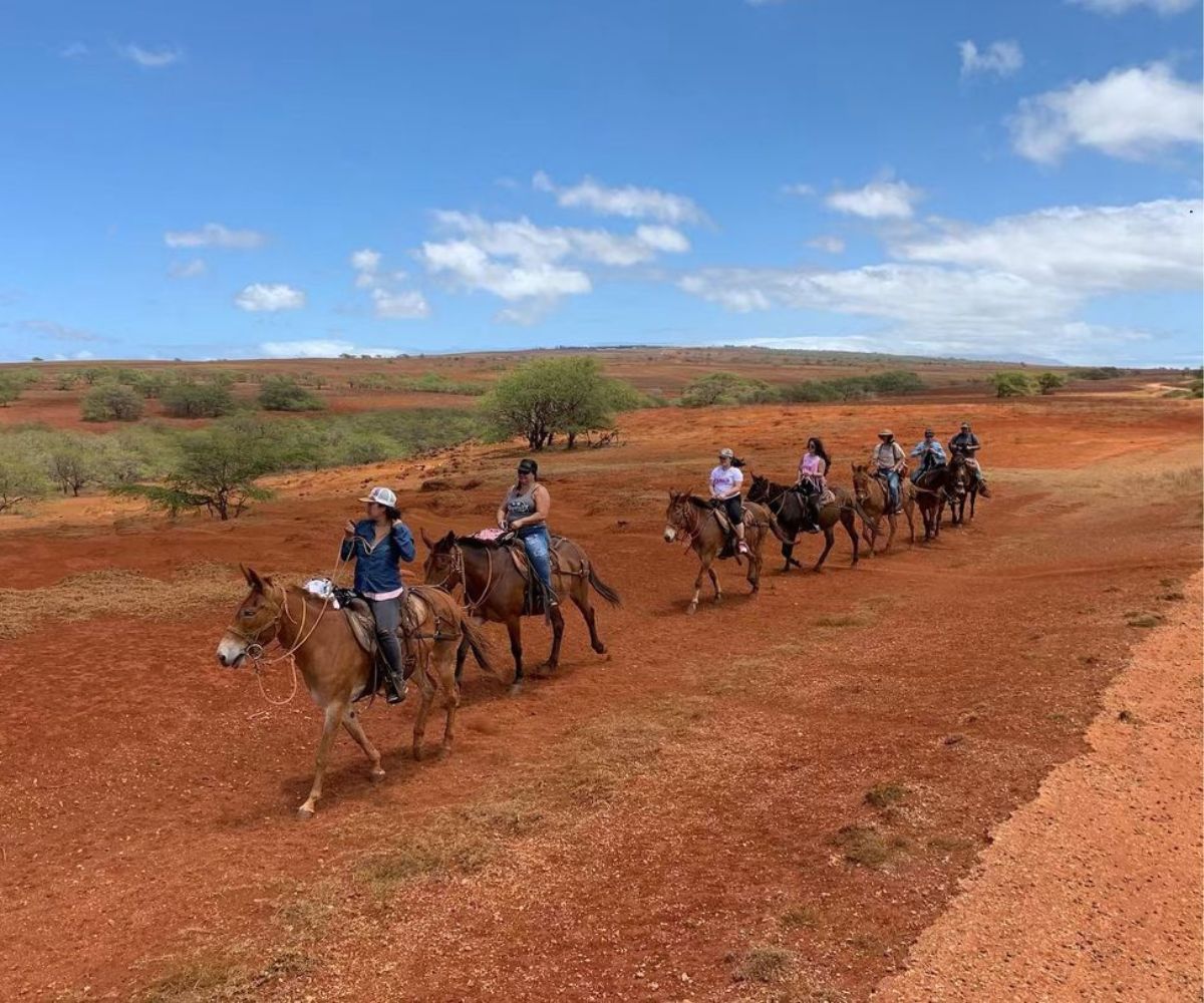 Tips for Mule Ride on Molokai