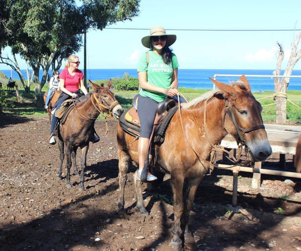 Tips of Mule Ride on Molokai