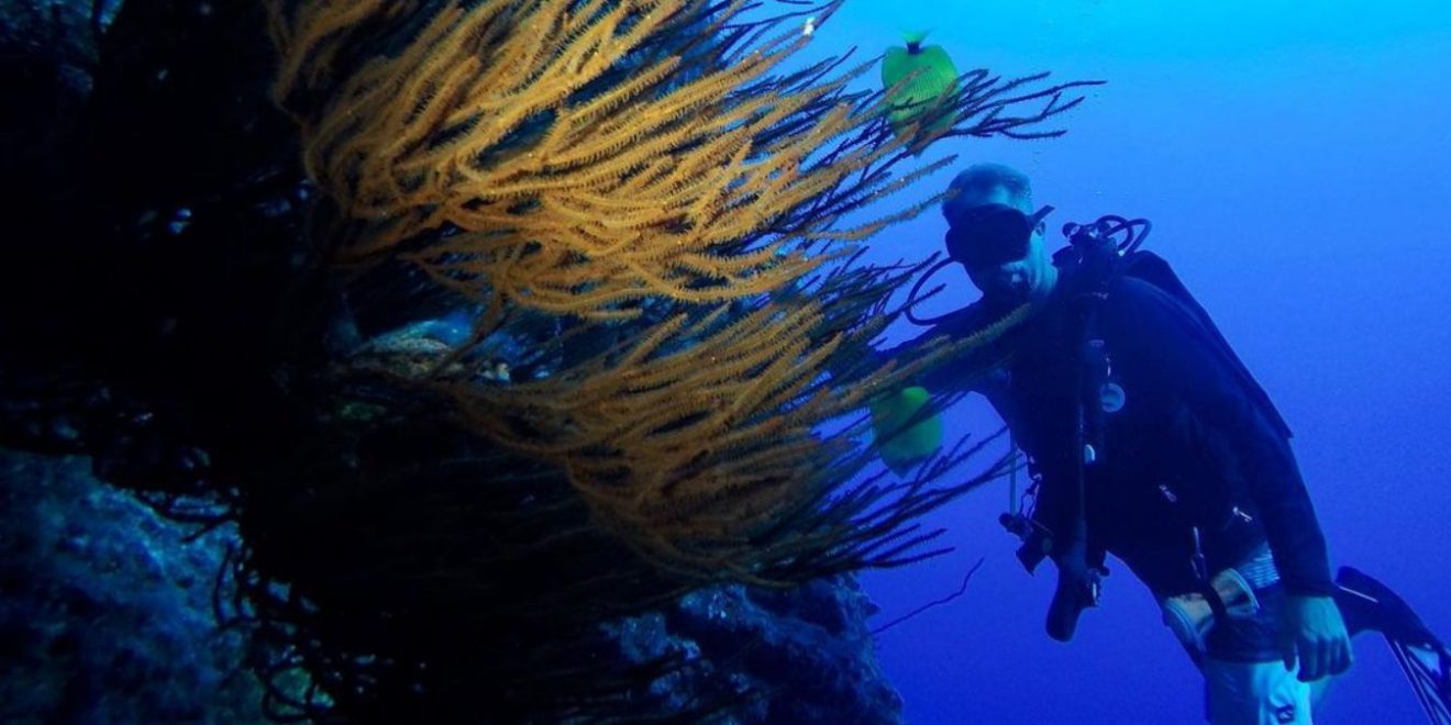 Tips For Snorkel Molokai Success Your Holiday Partner For The Honeyed