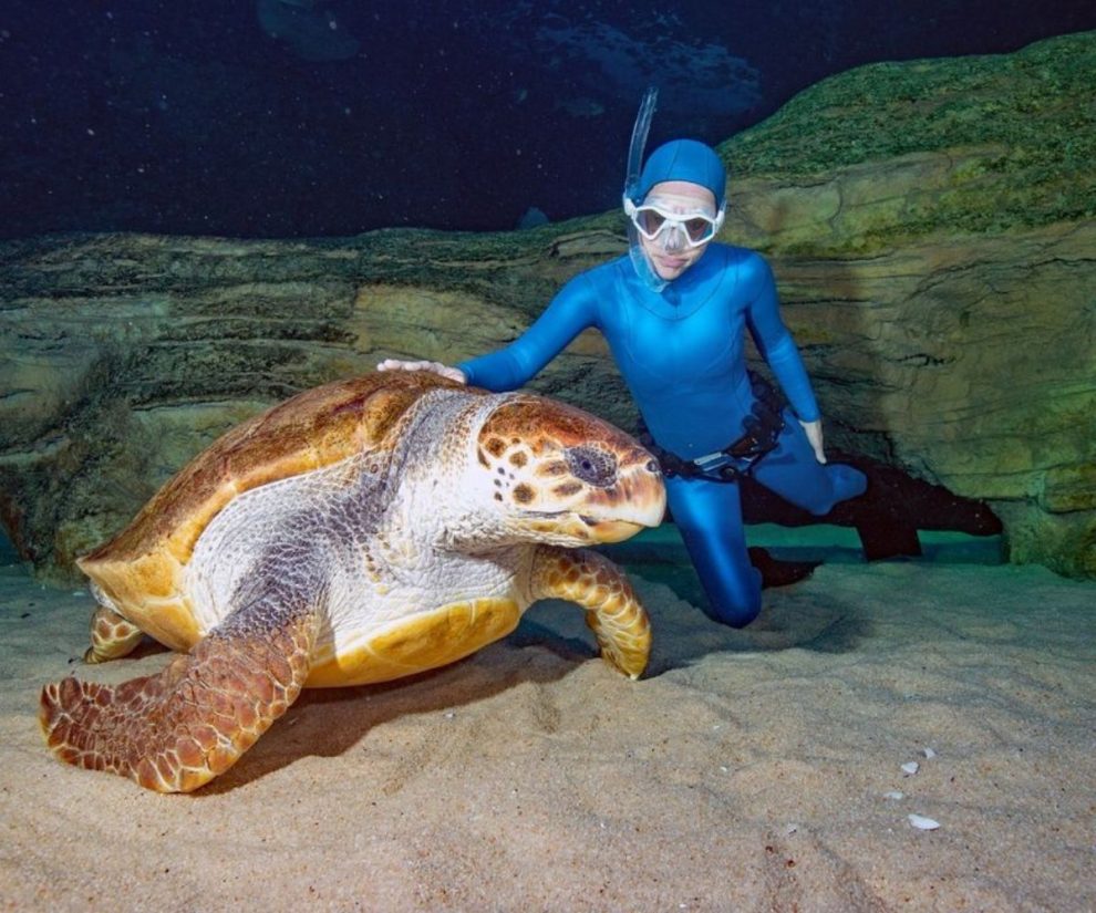 Tips For Snorkel Molokai Success Your Holiday Partner For The Honeyed