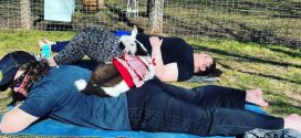 What Are The Benefits Of Goat Yoga