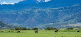 Why You Should Visit Falls Chance Ranch For Your Next Vacation