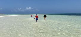 The Best Beach In Freeport Bahamas Activities